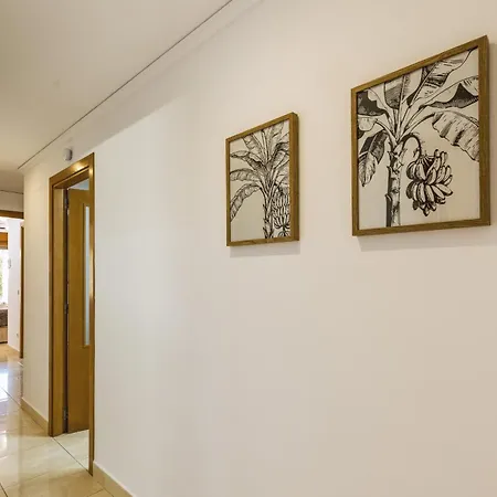 La Palmera Appartement *